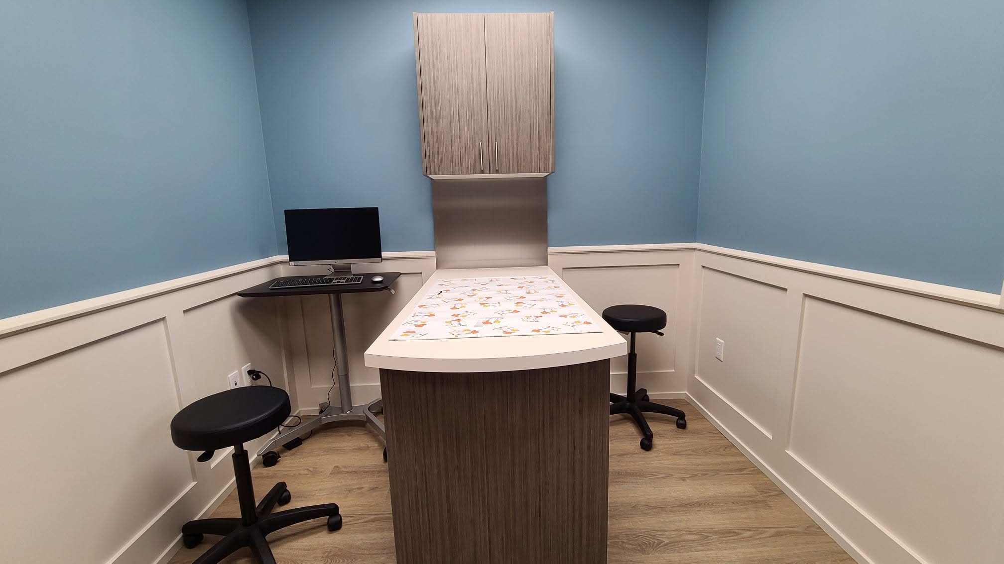 Veterinary treatment room with coordinated clinical equipment