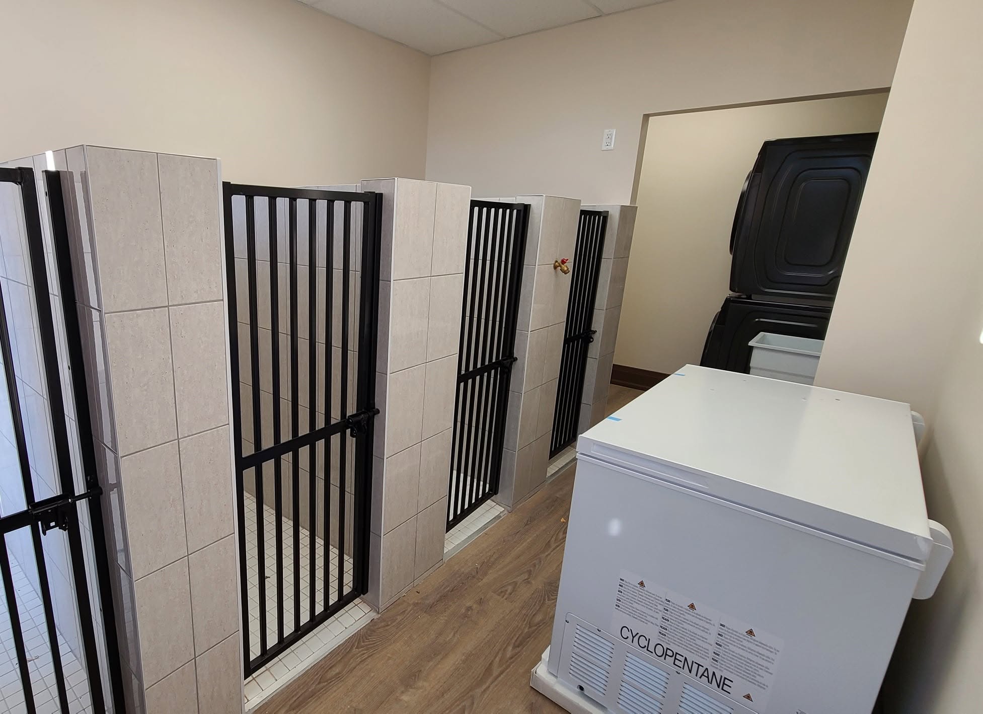 Purpose-built kennel area designed for animal care and sanitation